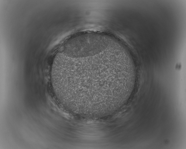 X0000115071399200911171120