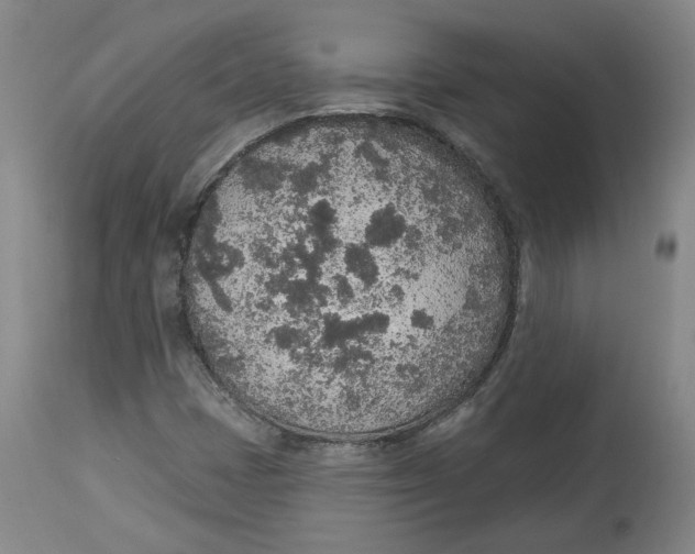 X0000115071401200911171120