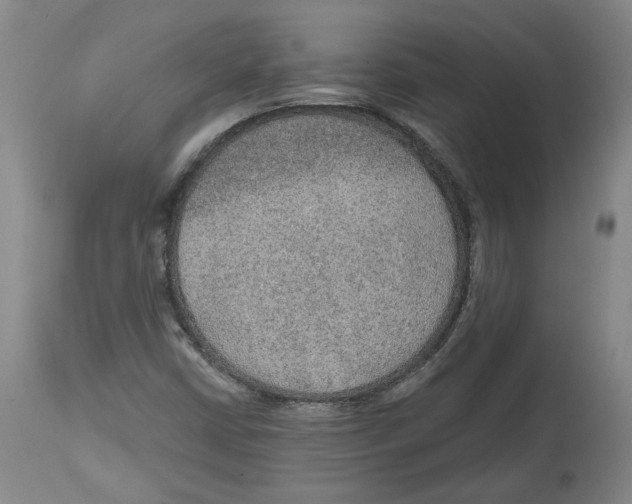 X0000115071402200911171120