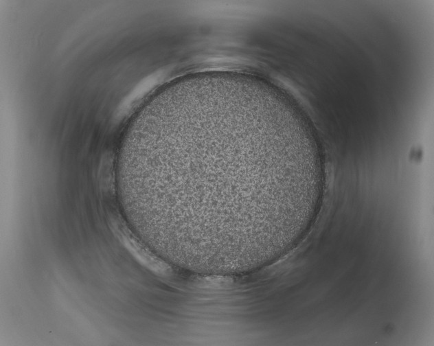 X0000115071403200911171120