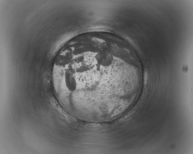 X0000115071405200911171120