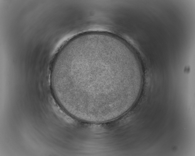 X0000115071408200911171120