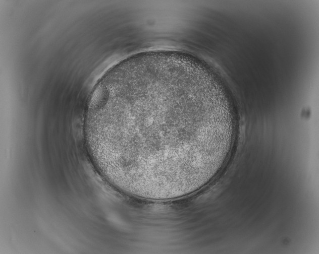 X0000115071409200911171120