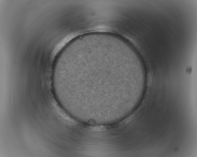 X0000115071410200911171120