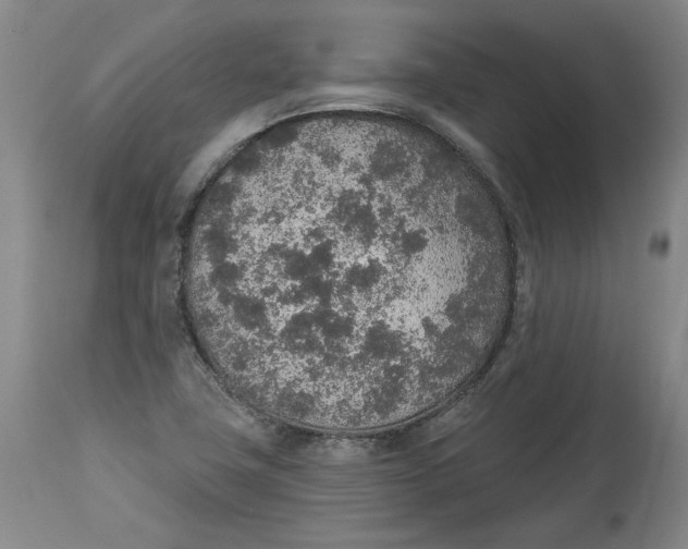 X0000115071411200911171120