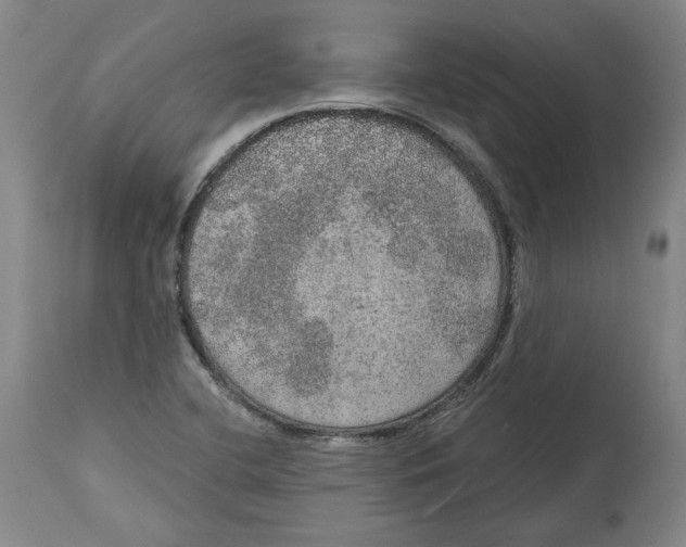 X0000115071412200911171120