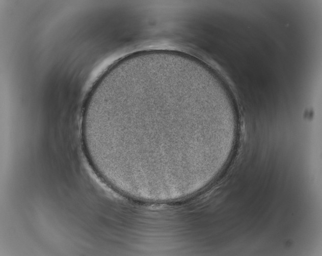 X0000115071416200911171120