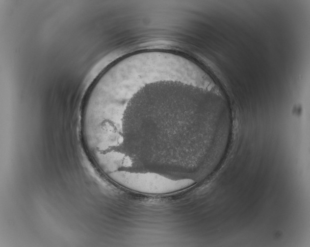 X0000115071418200911171120