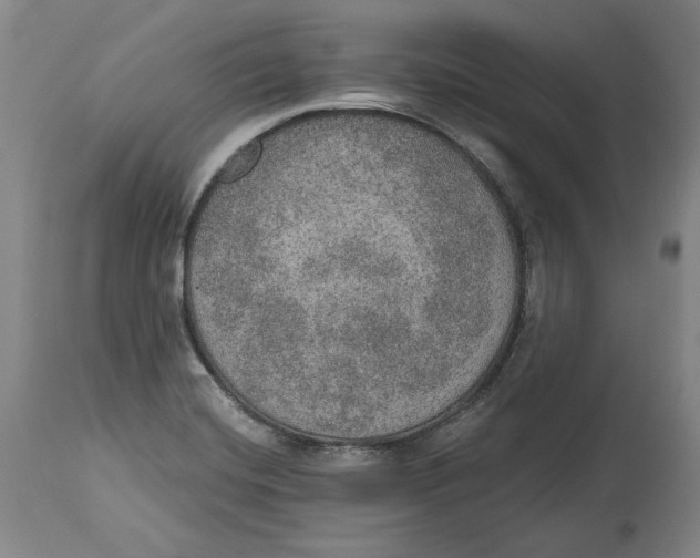 X0000115071420200911171120
