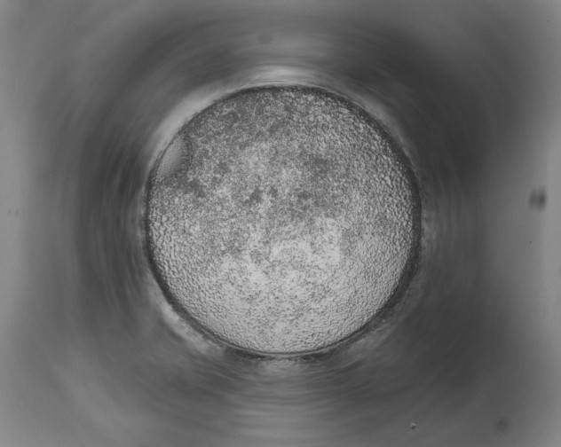X0000115071421200911171120