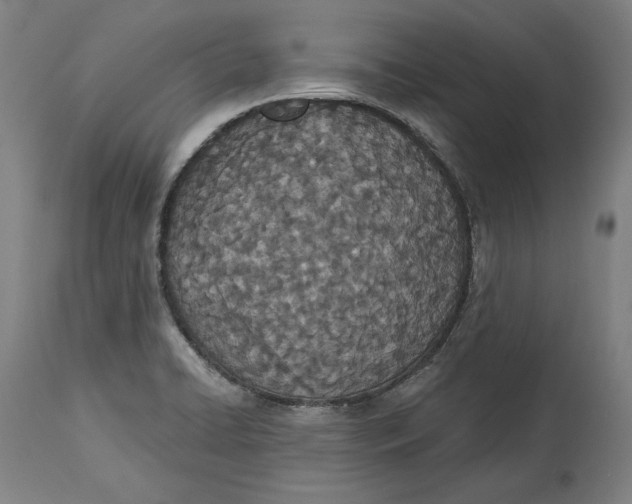 X0000115071422200911171120
