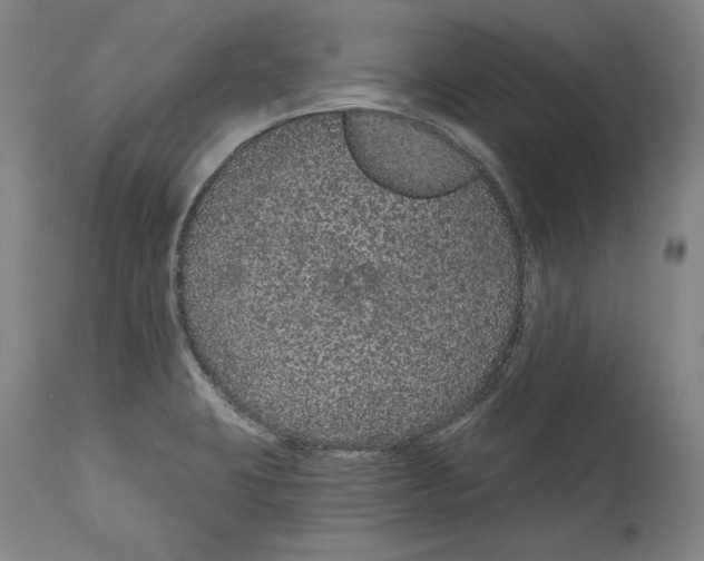 X0000115071423200911171120