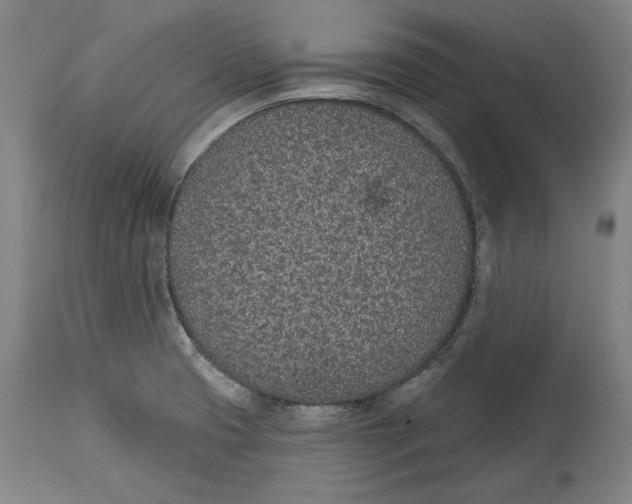 X0000115071425200911171120