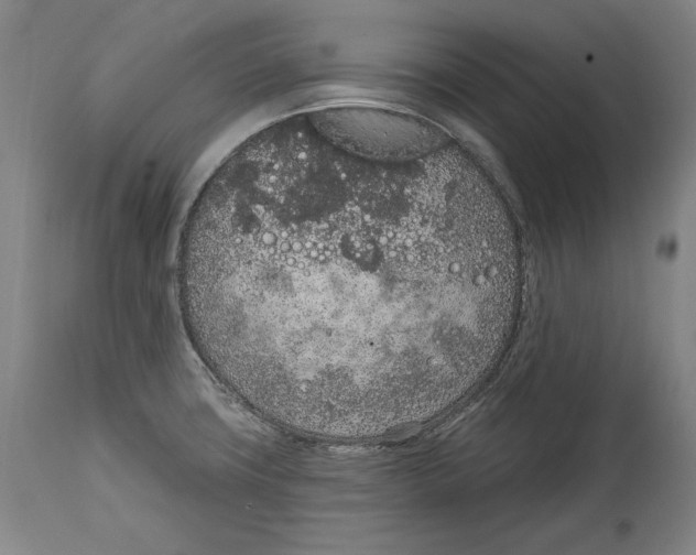 X0000115071427200911171120