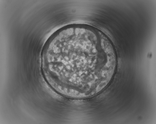 X0000115071428200911171120