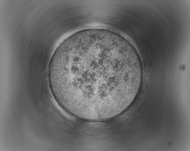 X0000115071429200911171120