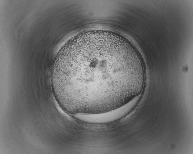 X0000115071433200911171120