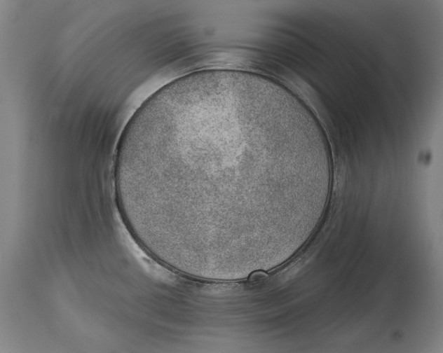 X0000115071434200911171120