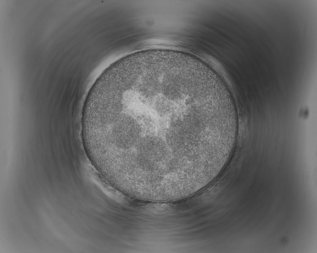 X0000115071435200911171120