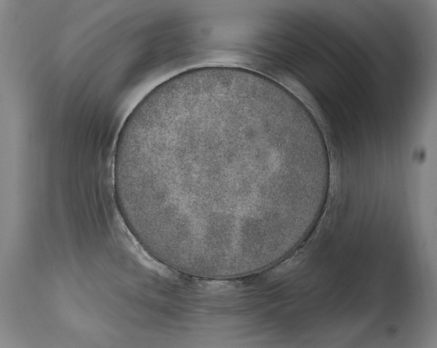 X0000115071436200911171120