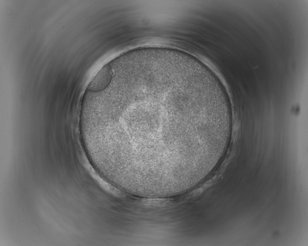 X0000115071437200911171120
