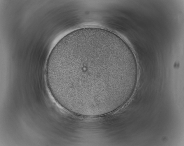 X0000115071440200911171120