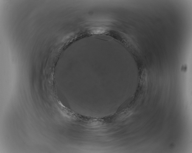 X0000115071441200911171119