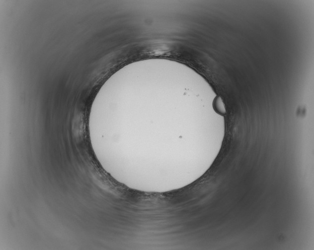 X0000115071442200911171119