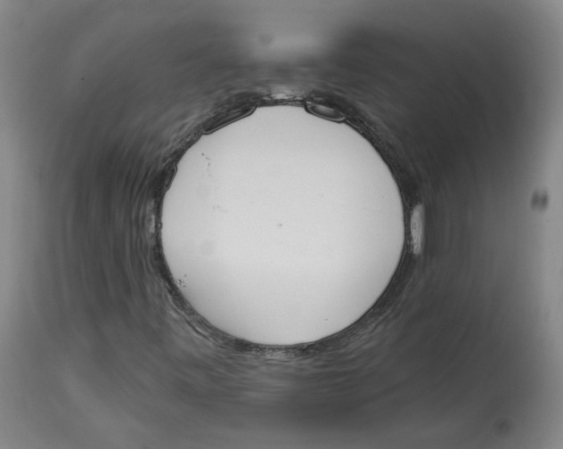 X0000115071443200911171119
