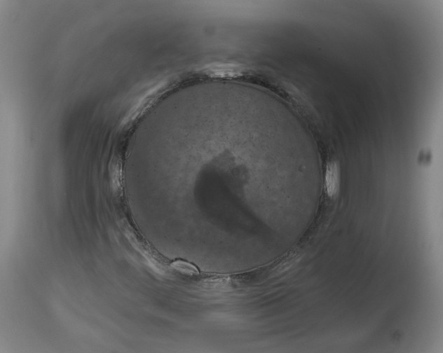 X0000115071444200911171119