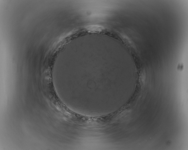 X0000115071445200911171119