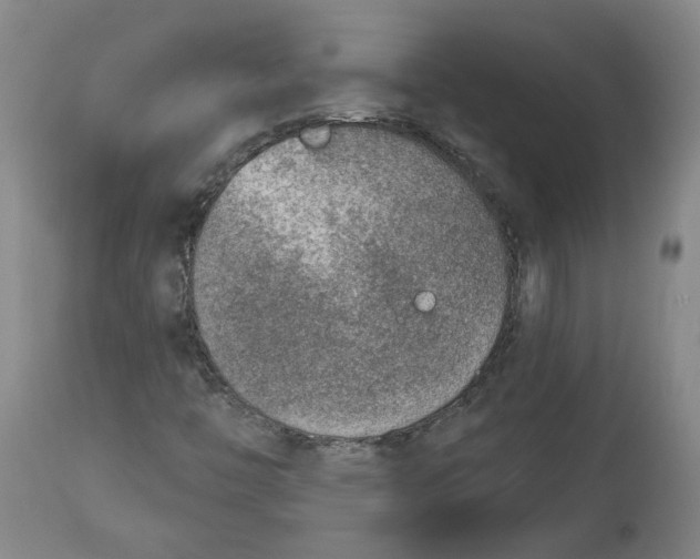 X0000115071446200911171119