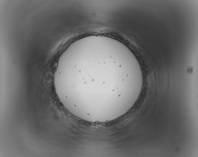 X0000115071447200911171119