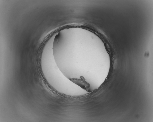 X0000115071448200911171119