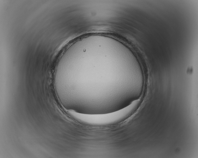 X0000115071449200911171119