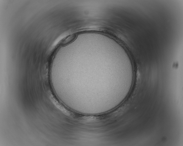 X0000115071450200911171119