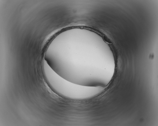 X0000115071452200911171119