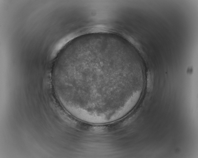 X0000115071453200911171119