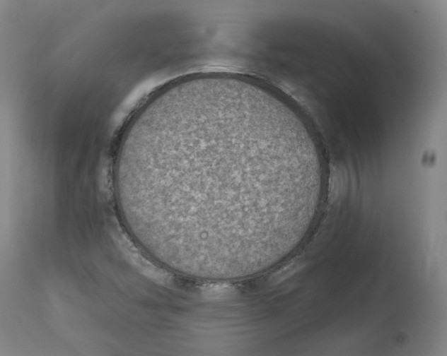 X0000115071454200911171119
