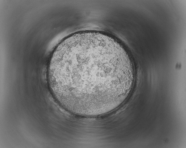 X0000115071455200911171119