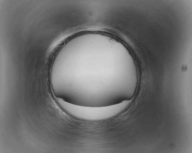 X0000115071456200911171119
