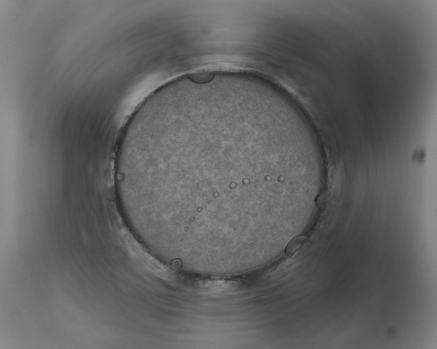 X0000115071459200911171119
