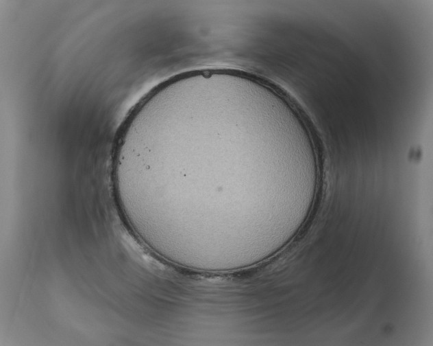 X0000115071460200911171119