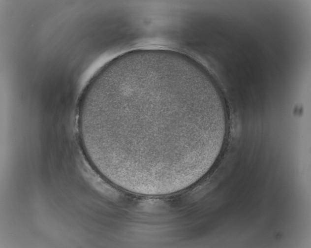 X0000115071462200911171119