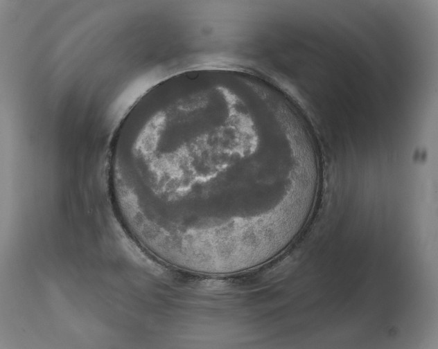 X0000115071463200911171119