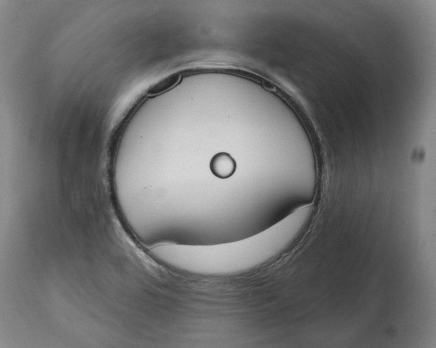 X0000115071464200911171119