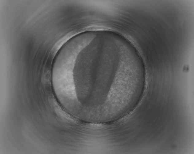X0000115071465200911171119