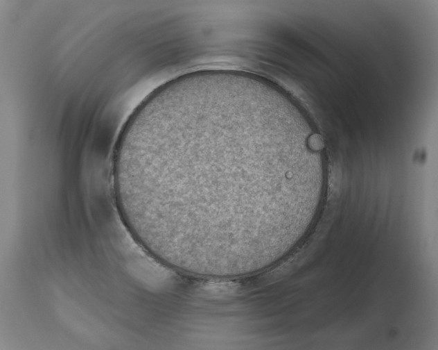 X0000115071466200911171119
