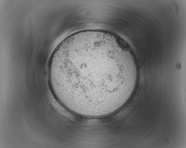 X0000115071467200911171119
