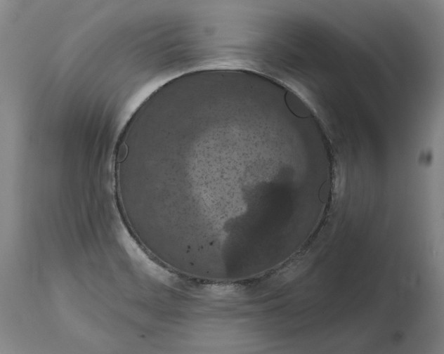 X0000115071468200911171119
